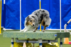 2023-AADTC-April-Trial-1638