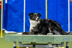 2023-AADTC-April-Trial-1646