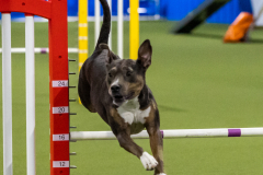 2023-AADTC-April-Trial-1652