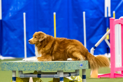 2023-AADTC-April-Trial-1663