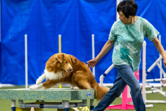 2023-AADTC-April-Trial-1665