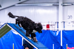 2023-AADTC-April-Trial-167