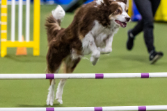 2023-AADTC-April-Trial-1670