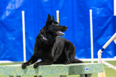 2023-AADTC-April-Trial-1675