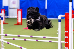 2023-AADTC-April-Trial-168