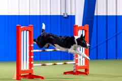 2023-AADTC-April-Trial-169