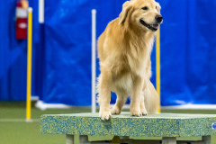 2023-AADTC-April-Trial-1694