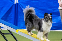 2023-AADTC-April-Trial-1697