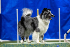 2023-AADTC-April-Trial-1699