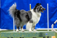 2023-AADTC-April-Trial-1700