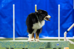 2023-AADTC-April-Trial-1715