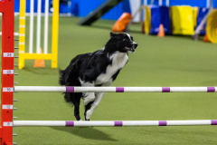 2023-AADTC-April-Trial-1719