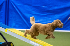 2023-AADTC-April-Trial-1721