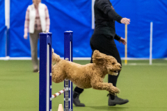 2023-AADTC-April-Trial-1722