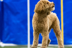 2023-AADTC-April-Trial-1723