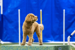 2023-AADTC-April-Trial-1724