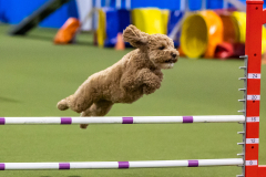 2023-AADTC-April-Trial-1725