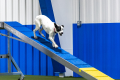 2023-AADTC-April-Trial-1729