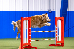 2023-AADTC-April-Trial-173