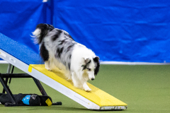 2023-AADTC-April-Trial-1732