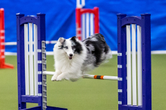 2023-AADTC-April-Trial-1733