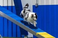 2023-AADTC-April-Trial-1735