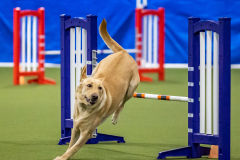 2023-AADTC-April-Trial-1738