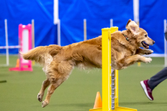 2023-AADTC-April-Trial-174