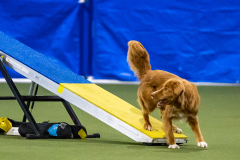 2023-AADTC-April-Trial-1743