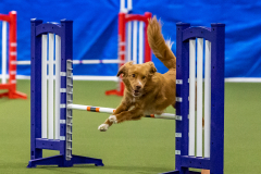 2023-AADTC-April-Trial-1744