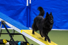 2023-AADTC-April-Trial-1748