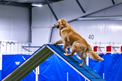 2023-AADTC-April-Trial-175