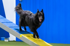 2023-AADTC-April-Trial-1751