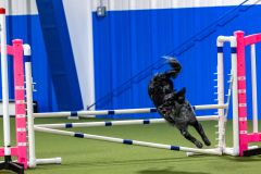 2023-AADTC-April-Trial-1757