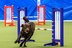 2023-AADTC-April-Trial-1759