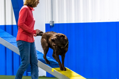 2023-AADTC-April-Trial-1761