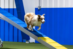 2023-AADTC-April-Trial-1773