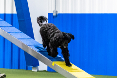 2023-AADTC-April-Trial-1779