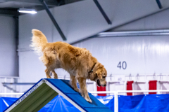 2023-AADTC-April-Trial-178