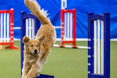 2023-AADTC-April-Trial-1783