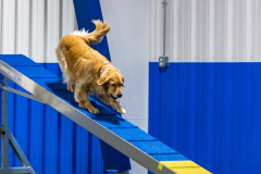 2023-AADTC-April-Trial-1786