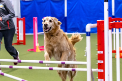 2023-AADTC-April-Trial-179