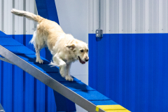 2023-AADTC-April-Trial-1791