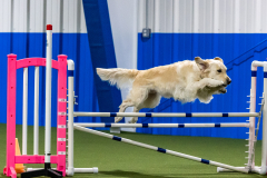 2023-AADTC-April-Trial-1792