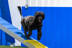 2023-AADTC-April-Trial-1796