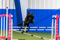 2023-AADTC-April-Trial-1797