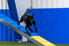 2023-AADTC-April-Trial-1801