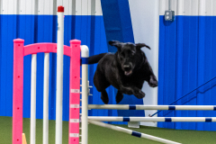 2023-AADTC-April-Trial-1802