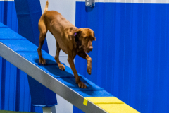 2023-AADTC-April-Trial-1807