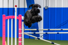 2023-AADTC-April-Trial-1823